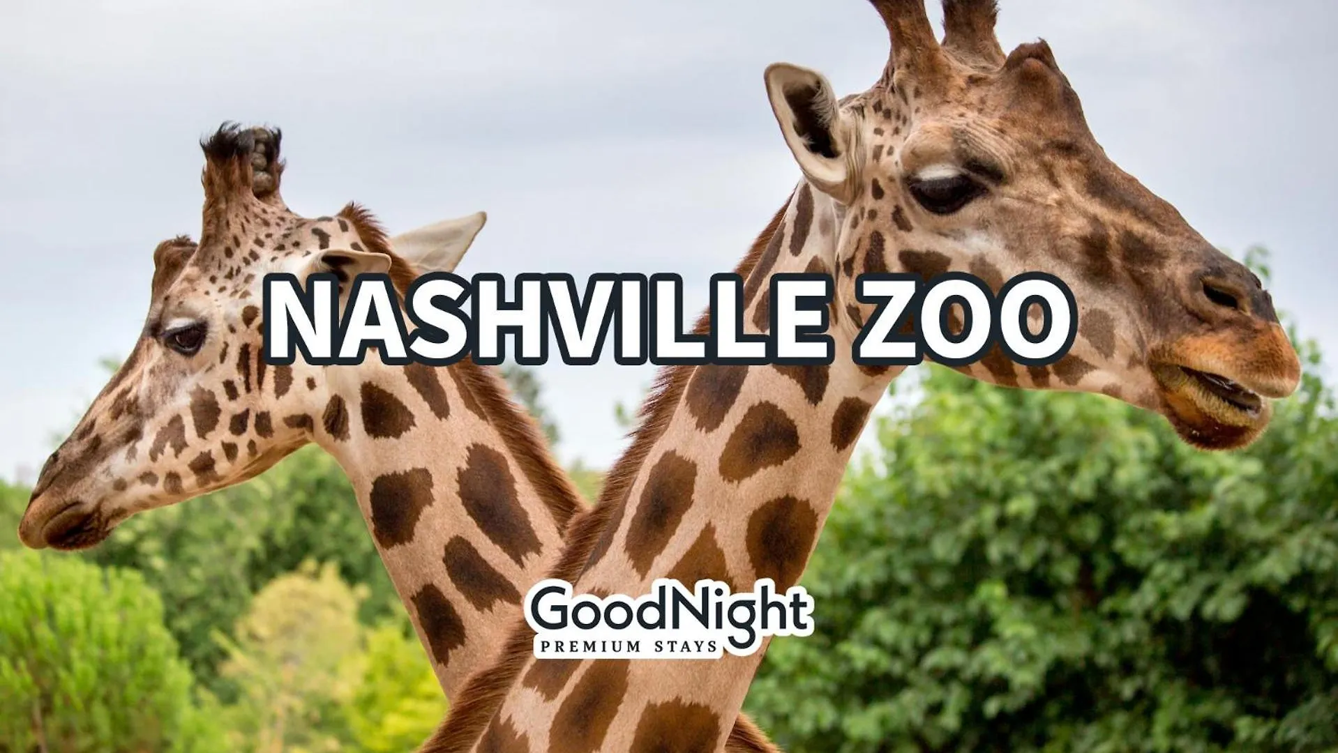 Nashville - 635 7Th Ave S Unit 610 0*,  United States